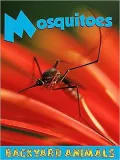Mosquitoes