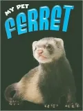 Ferret