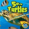 Sea Turtle