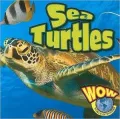 Sea Turtle