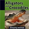Alligators and Crocodiles