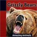 Grizzly Bears