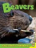 Beavers