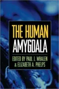 The Human Amygdala
