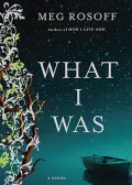 What I Was: Library Edition