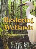 Restoring Wetlands (Let's Explore Science)