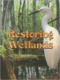 Restoring Wetlands (Let's Explore Science)