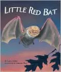 Little Red Bat