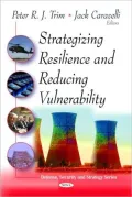 Strategizing Resilence and Reducing Vulnerability