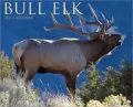 2011 Bull Elk Wall Calendar