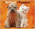 2011 Kittens & Puppies Wall Calendar
