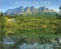 2011 Mountain View Wall Calendar