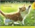 2011 What Kittens Teach Us Wall Calendar