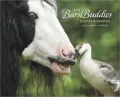 2011 Barn Buddies Wall Calendar