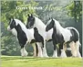 2011 Gypsy Vanner Horse Wall Calendar