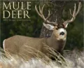 2011 Mule Deer Wall Calendar
