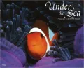 2011 Under the Sea Wall Calendar