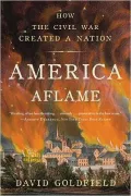 America Aflame: How the Civil War Created a Nation