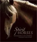 Spirit Horses
