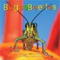 2011 Bugs 'n Beetles Wall Calendar