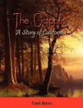 The Octopus
