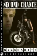 Second Chance (Erotic Erotica Gay Male Romance Short)