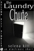 The Laundry Chute (A Paranormal Short)