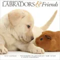 2012 Labs & Friends Wall Calendar
