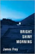 Bright Shiny Morning
