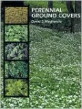 Perennial Ground Covers
