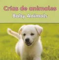Crias de Animales/Baby Animals