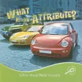 What Is an Attribute?