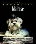 The Essential Maltese
