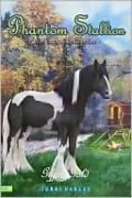 Gypsy Gold (Phantom Stallion Series #23)
