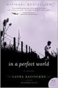 In a Perfect World