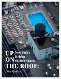 Up on the Roof: New York's Hidden Skyline Spaces