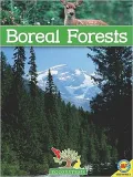 Boreal Forests