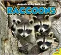 Raccoons