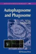 Autophagosome and Phagosome