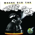 Where Did the Water Go?