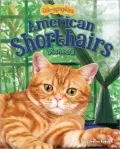 American Shorthairs: Pioneers