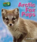 Arctic Fox Pups