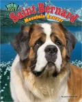 Saint Bernard: Mountain Retriever