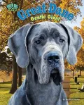 Great Dane