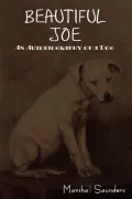 Beautiful Joe