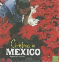 Christmas in Mexico