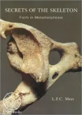 Secrets of the Skeleton: Form in Metamorphosis