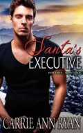 Santa's Executive