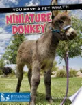 Miniature Donkey