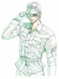 Cells at Work! 6